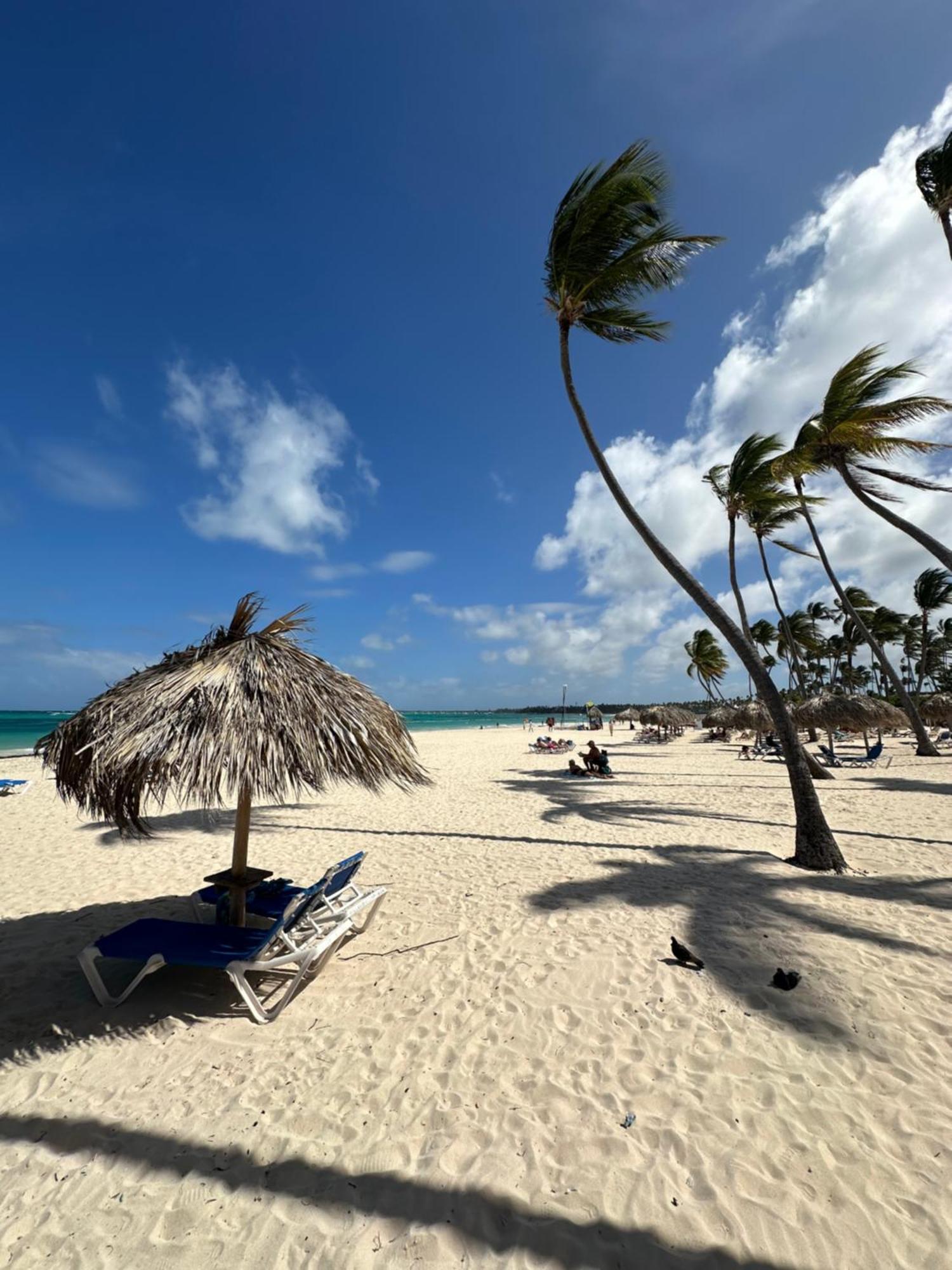 פונטה קאנה Punta Beach Bavaro Hotel Apartamentos מראה חיצוני תמונה